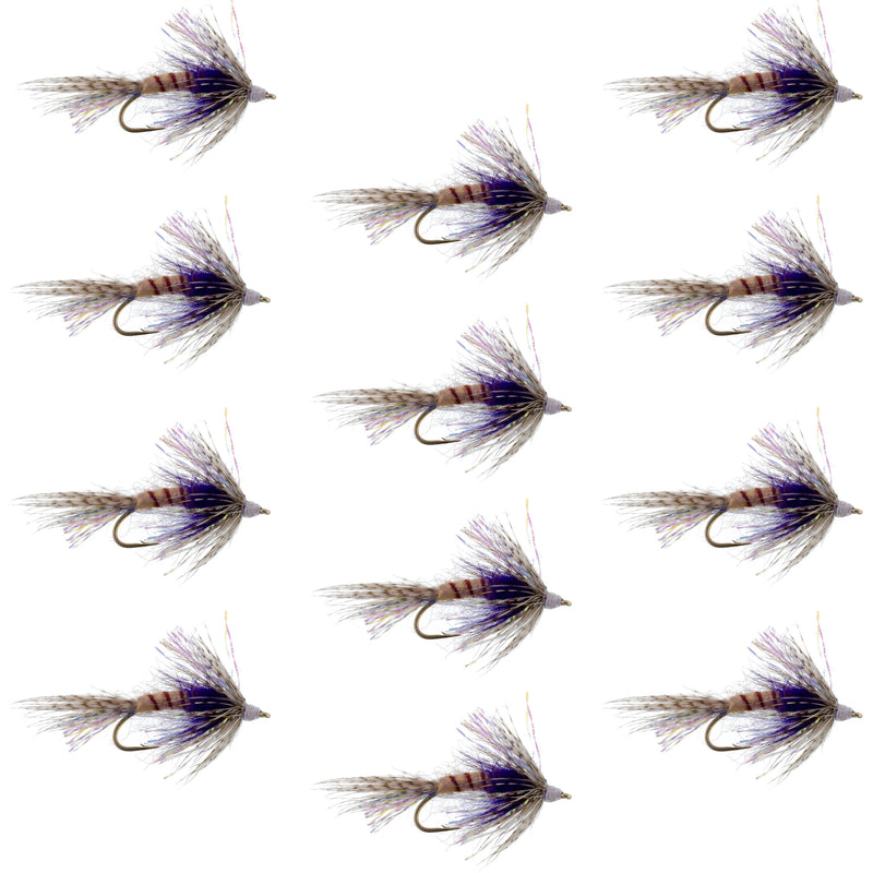 Set of 12 purple Shakey Bealy fall soft hackle wet flies for trout fishing, hook size 10, by The Fly Fishing Place.