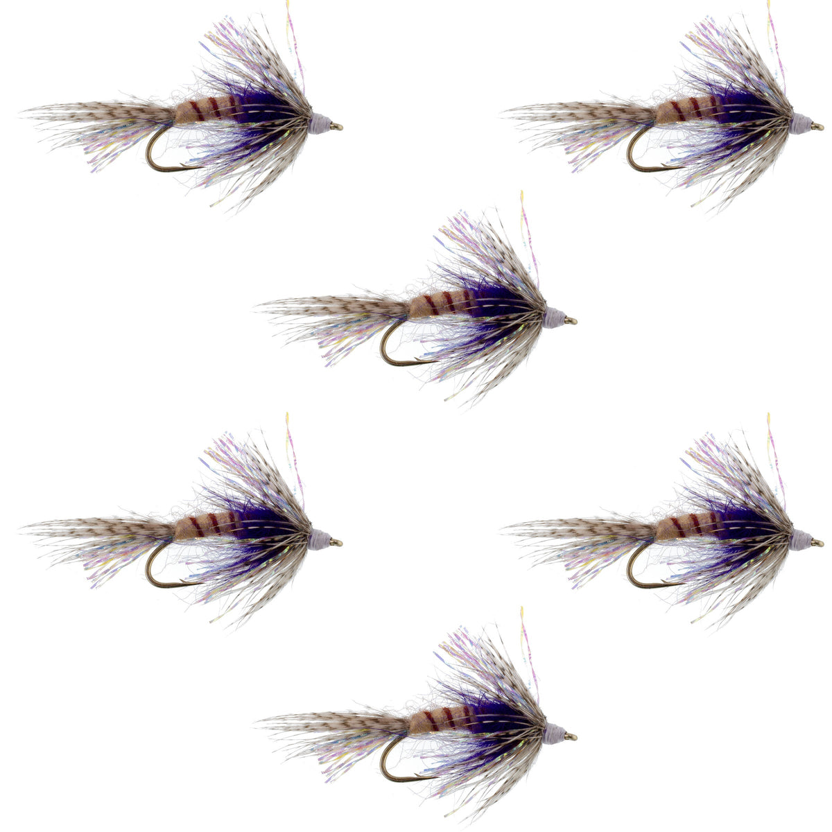 Set of six purple Shakey Bealy Fall soft hackle wet flies for trout fishing, size 10 hooks, by The Fly Fishing Place.