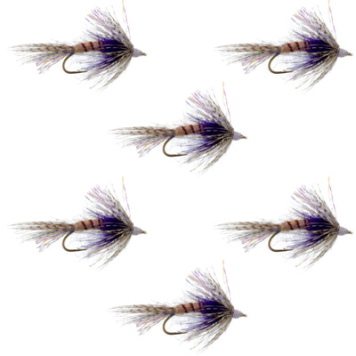 Set of six purple Shakey Bealy Fall soft hackle wet flies for trout fishing, size 10 hooks, by The Fly Fishing Place.