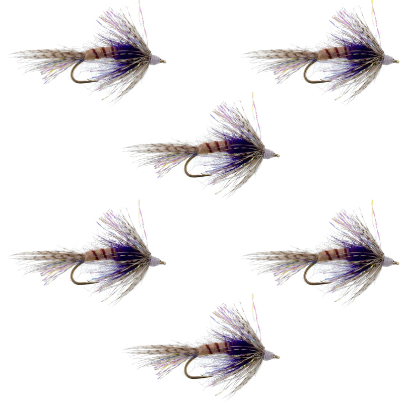 Set of six purple Shakey Bealy Fall soft hackle wet flies for trout fishing, size 10 hooks, by The Fly Fishing Place.