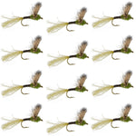 Set of 12 Sparkle Dun Baetis dry flies for trout fishing, size 16, by The Fly Fishing Place, featuring realistic fly patterns.
