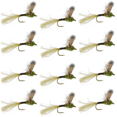 Set of 12 Sparkle Dun Baetis dry flies for trout fishing, size 16, by The Fly Fishing Place, featuring realistic fly patterns.