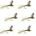 Set of six Sparkle Dun Baetis Mayfly dry flies for trout fishing, size 18, with detailed feather and hook features.