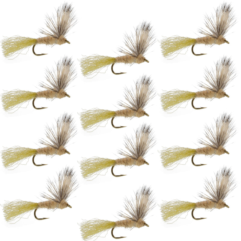 Sparkle Dun Callibaetis Mayfly trout dry fly set of 12 hooks size 16 by The Fly Fishing Place