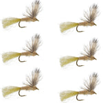 Set of six Sparkle Dun Callibaetis Mayfly dry flies for trout fishing, hook size 16, from The Fly Fishing Place.