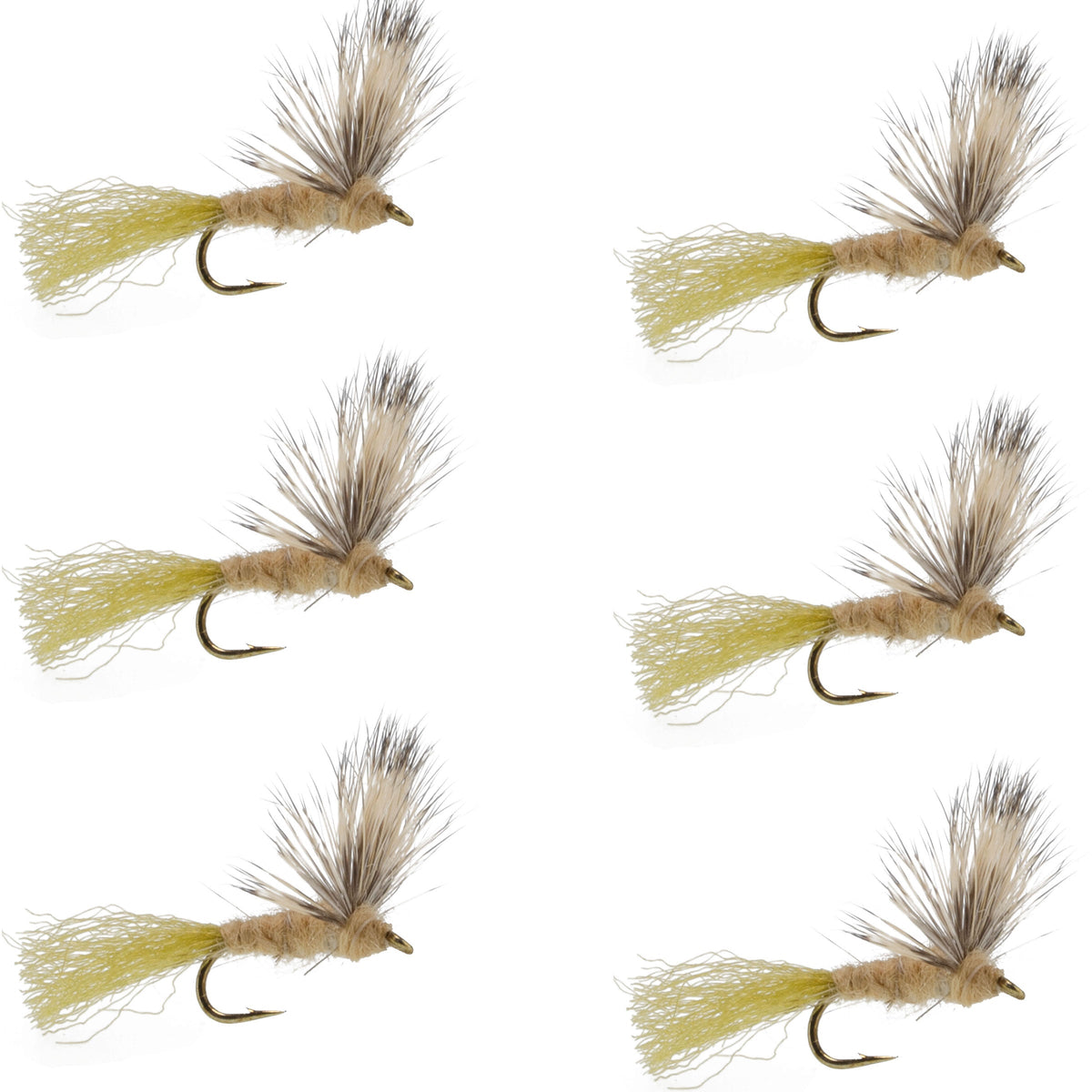 Set of six Sparkle Dun Callibaetis Mayfly dry flies for trout fishing, hook size 16, from The Fly Fishing Place.