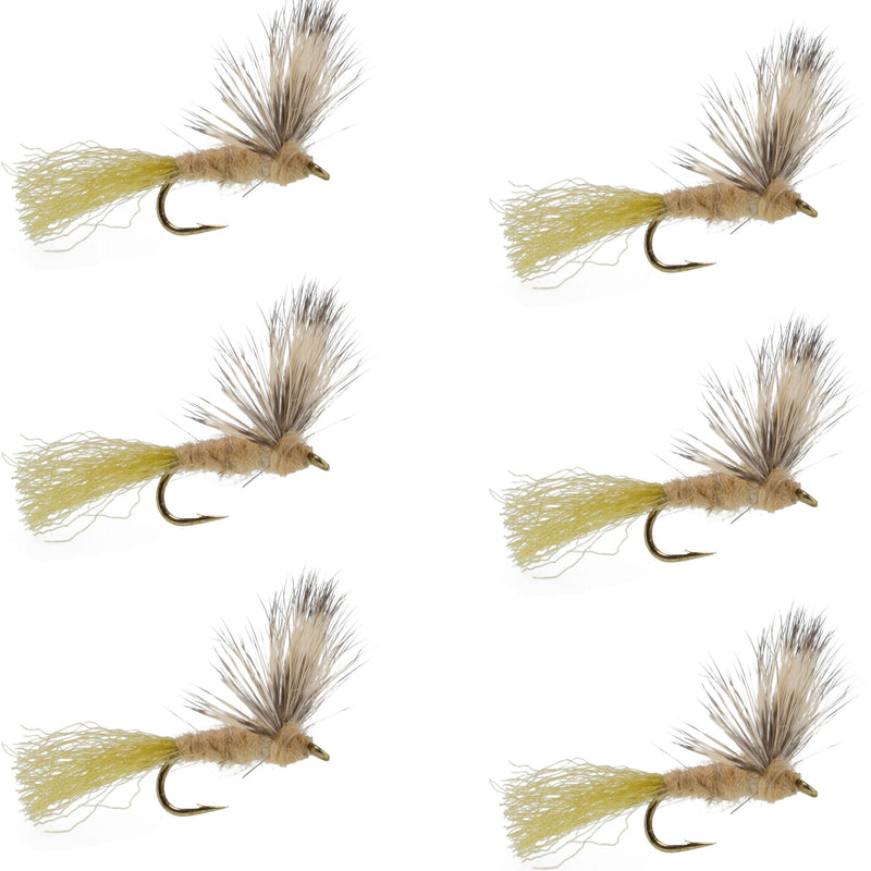 Set of six Sparkle Dun Callibaetis Mayfly dry flies for trout fishing, hook size 16, from The Fly Fishing Place.