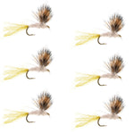 Set of 6 Sparkle Dun Pale Morning Dun PMD Mayfly dry fishing flies with size 16 hooks, designed for trout fishing.