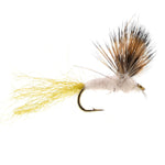 Sparkle Dun Pale Morning Dun PMD Mayfly dry fishing fly on hook size 16 for trout fishing by The Fly Fishing Place
