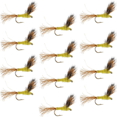 Set of 12 Sparkle Dun Pale Morning Dun PMD yellow trout dry flies with size 16 hooks for fly fishing.