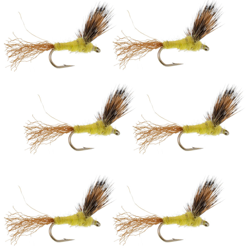 Set of six Sparkle Dun Pale Morning Dun PMD yellow dry flies for trout fishing, with size 16 hooks, by The Fly Fishing Place.