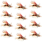 Set of 12 Kaufmann's Royal Crystal Stimulator dry flies in red, size 14, designed for trout fishing, by The Fly Fishing Place.