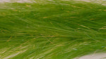 Olive Clouser's Fly Shop Designer Articulated Translucy Brush Combo for fly tying with flexible, translucent brushes.