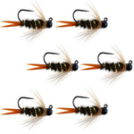 Set of 6 Black Tungsten Bead Prince Nymph wet flies for trout fishing, size 14, crafted for Euro nymphing by The Fly Fishing Place.