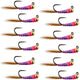 Tungsten Hot Spot Purple Perdigon Tactical  Nymph Fly - 12 Flies Size 14