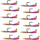 Tungsten Hot Spot Purple Perdigon Tactical  Nymph Fly - 12 Flies Size 16