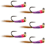 Six Tungsten Hot Spot Purple Perdigon Euro Nymph Flies for trout fishing, size 14, by The Fly Fishing Place.