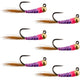 Tungsten Hot Spot Purple Perdigon Tactical Euro Nymph Fly - 6 Flies Size 14