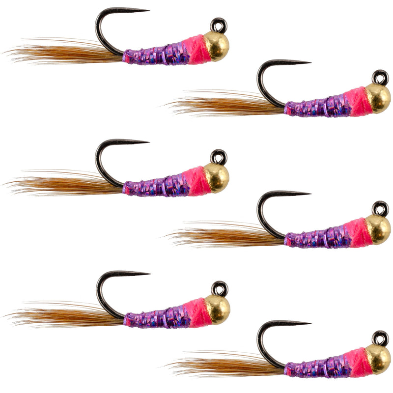 Six Tungsten Hot Spot Purple Perdigon Euro Nymph Flies for trout fishing, size 14, by The Fly Fishing Place.
