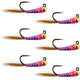Tungsten Hot Spot Purple Perdigon Tactical Euro Nymph Fly - 6 Flies Size 18