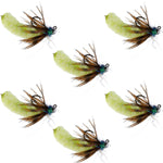Set of six chartreuse Tungsten Mop Flies for trout fishing, Czech Euro Nymph, barbless, size 14, by The Fly Fishing Place.