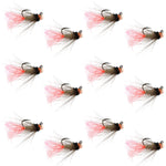 Set of 12 Tasmanian Devil Tungsten Bead Jig Trout Wet Flies for Euro Nymphing, size 14, by The Fly Fishing Place.