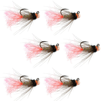 Set of six Tasmanian Devil tungsten bead jig trout wet flies in size 14 for tactical Czech nymphing and Euro nymphing fishing.