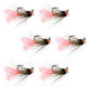 Tungsten Bead Jig Tasmanian Devil Tactical Czech Nymph Euro Nymphing Fly - 6 Flies Size 14