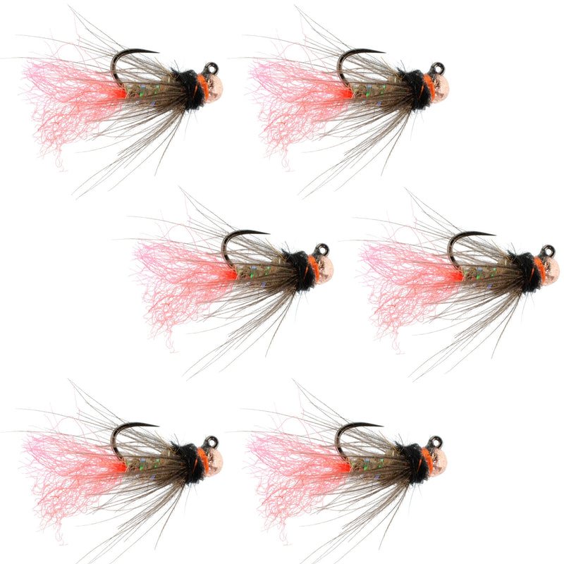 Set of six Tasmanian Devil tactical tungsten bead jig flies for trout wet fishing, size 16, by The Fly Fishing Place.