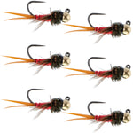Set of 6 Copper John Red Czech Nymph tungsten bead trout wet flies for euro nymphing, size 14, by The Fly Fishing Place.