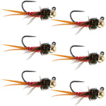 Set of 6 Copper John Red Czech Nymph Tungsten Bead Trout Wet Flies for fly fishing, size 12, by The Fly Fishing Place