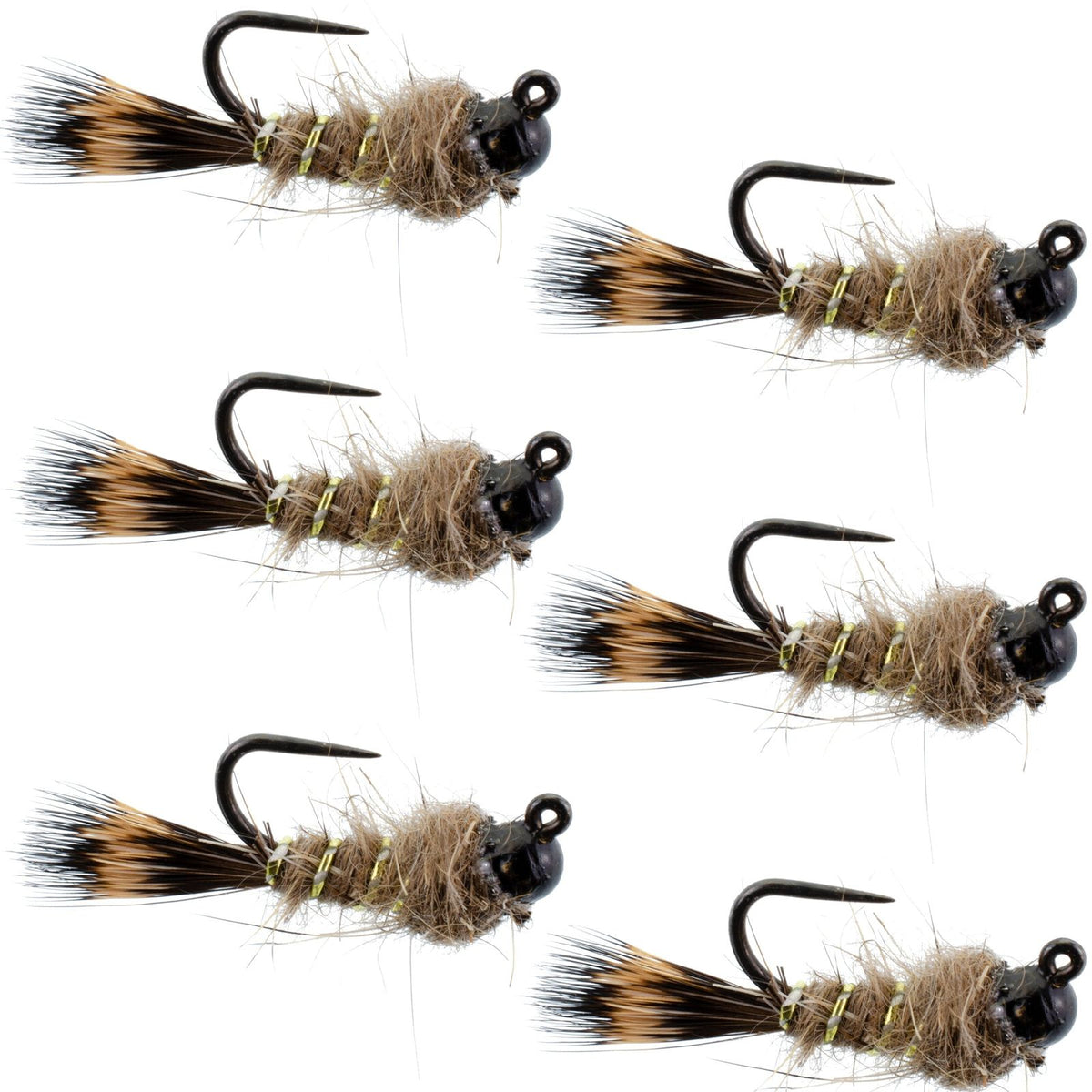 Set of 6 black tungsten bead tactical hares ear Czech nymph flies for trout fishing, size 12, by The Fly Fishing Place.