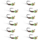 Tungsten Hot Spot Pheasant Tail Tactical Jig Euro Fly - 12 Flies Size 14