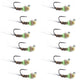 Tungsten Hot Spot Pheasant Tail Tactical Jig Euro Fly - 12 Flies Size 18