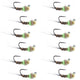 Tungsten Hot Spot Pheasant Tail Tactical Jig Euro Fly - 12 Flies Size 16