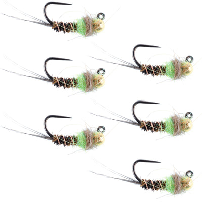 Tungsten Hot Spot Pheasant Tail Tactical Nymph Euro Jig - 6 Flies Size 16