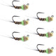 Tungsten Hot Spot Pheasant Tail Tactical Nymph Euro Jig - 6 Flies Size 16