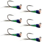 Set of 6 tungsten gasolina perdigon tactical nymph flies for trout fishing, size 16, designed for euro nymph and fly fishing.