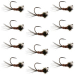 Set of 12 tungsten pheasant tail tactical Czech nymph euro jigs for trout fishing, size 14, by The Fly Fishing Place