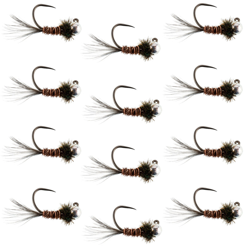 Set of 12 tungsten pheasant tail tactical Czech nymph Euro jigs for trout fishing, size 16, by The Fly Fishing Place.