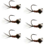 Set of 6 tungsten Pheasant Tail tactical nymph Euro jigs for trout fishing, size 14, by The Fly Fishing Place.