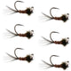Tungsten Pheasant Tail Tactical Nymph Euro Jig - 6 Flies Size 14