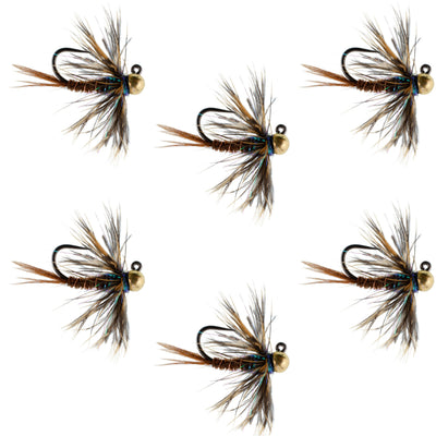 Tungsten Soft Hackle Pheasant Tail Tactical Nymph Euro Jig - 6 Flies Size 14