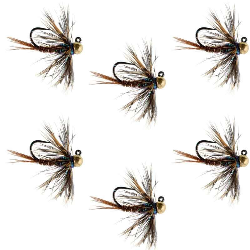 Set of six tungsten soft hackle pheasant tail tactical nymph euro jig flies for trout fishing, size 16, by The Fly Fishing Place.