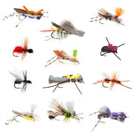 Premium terrestrial fly assortment by The Fly Fishing Place featuring 12 hopper, ant, and beetle flies with fly box for trout fishing.