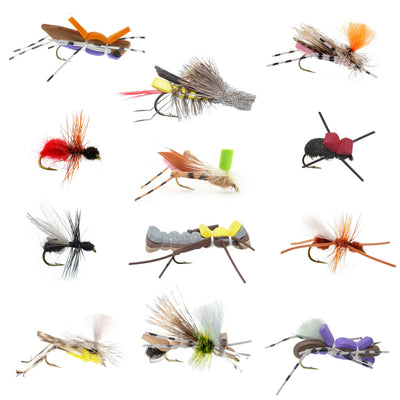 Premium terrestrial fly assortment by The Fly Fishing Place featuring 12 hopper, ant, and beetle flies with fly box for trout fishing.
