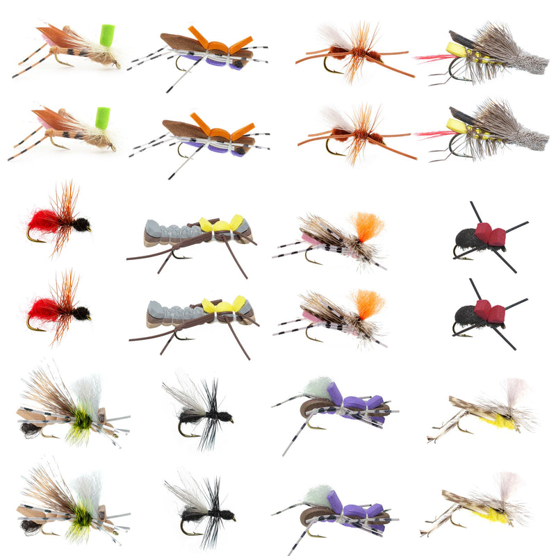 Assorted terrestrial flies including hoppers, ants, and beetles in a fly box for trout fishing by The Fly Fishing Place.