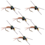 Set of 6 Copper John nymph trout wet flies with tungsten bead head and rubber legs for fly fishing, size 16, by The Fly Fishing Place.