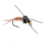 Set of 6 Copper John nymph fly fishing flies with tungsten bead head and rubber legs, ideal for trout wet fishing.
