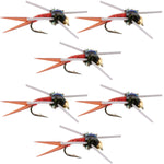 Set of 6 Copper John Tungsten Bead Head Rubber Legs trout wet flies with red accents, size 16, for fly fishing.